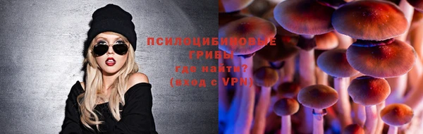 соль ск Дмитриев