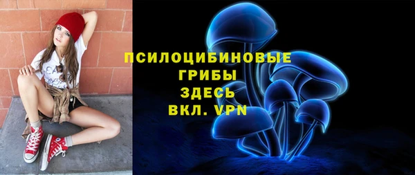 apvp Дмитровск