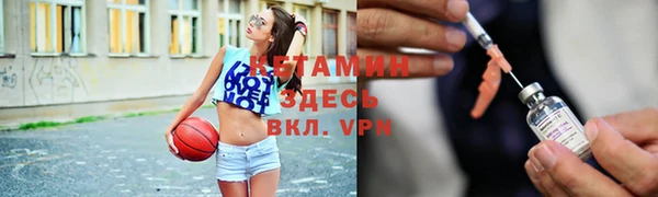 соль ск Дмитриев