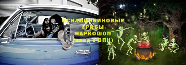 соль ск Дмитриев