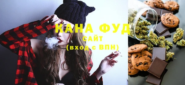 молекула духа Елабуга