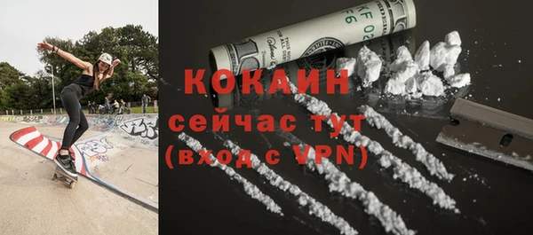 соль ск Дмитриев