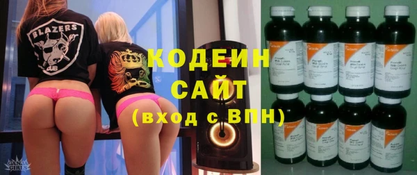 a pvp Ельня